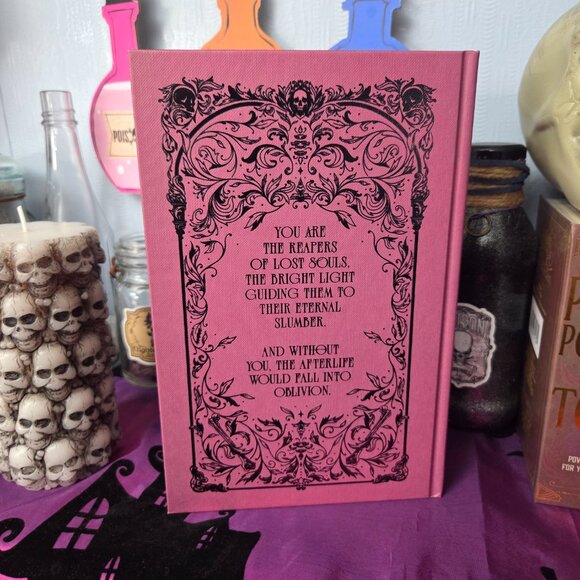 Immortal Consequences by I.V. Marie Fairyloot August 2025 Behind The Veil - Picture 8 of 10